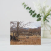 Pâturage des moutons sur carte postale de la ferme (Debout devant)