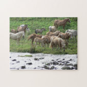 Pâturage du puzzle de chevaux (Horizontal)