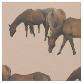 Pâturage du tissu de chevaux (Fermer)