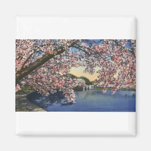 PAU43 Tidal Basin.tif Magneet (Voorkant)