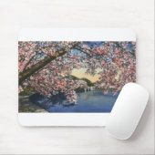 PAU43 Tidal Basin.tif Muismat (Met muis)