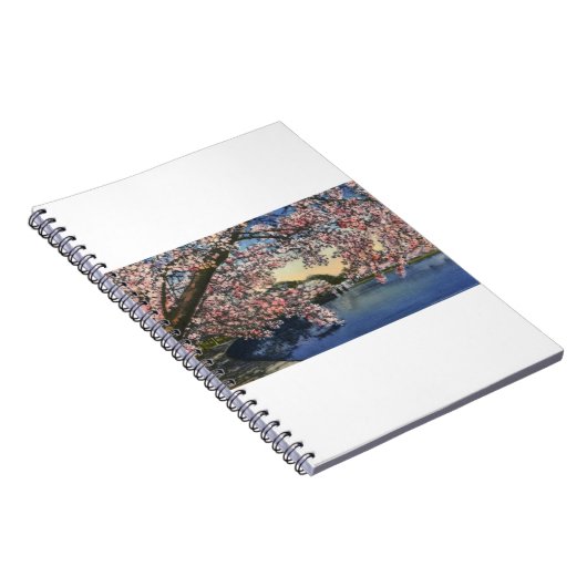 PAU43 Tidal Basin.tif Notitieboek (Rechterzijde)