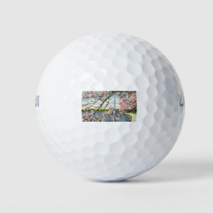 PAU45 Washington Monument 2.tif Golfballen