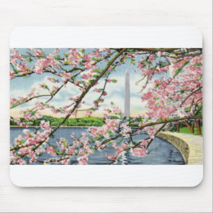 PAU45 Washington Monument 2.tif Muismat