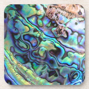 Paua abalone shell detail bier onderzetter