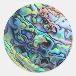 Paua abalone shell detail ronde sticker