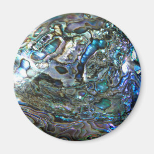 PAUA ONTWERP MAGNEET