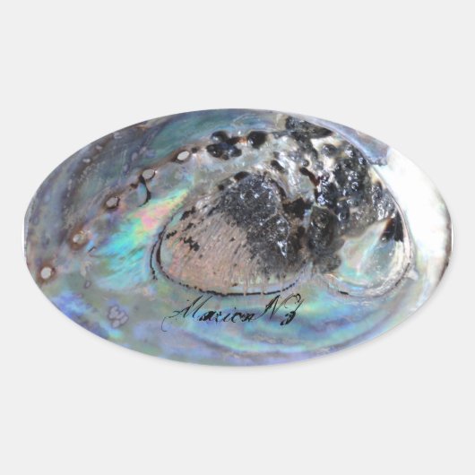 Paua Sticker (Voorkant)