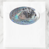 Paua Sticker (Tas)
