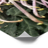 Paul bleef anderhalf jaar lang. poster (Hoek)