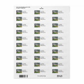 Paul Cezanne - Mont Sainte-Victoire en Large Pine Etiket (Full Sheet)