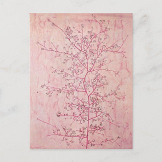 Paul Klee - Carte postale Printemps rose en plein 