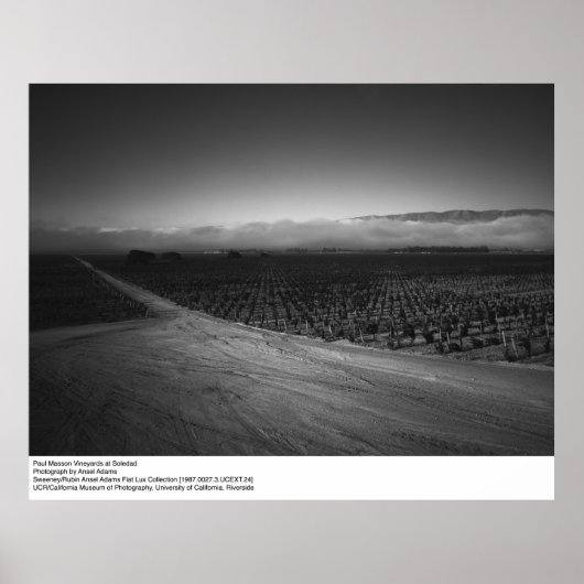 Paul Masson Vineyard van Ansel Adams in Soledad Poster (Voorkant)