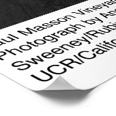 Paul Masson Vineyard van Ansel Adams in Soledad Poster (Hoek)