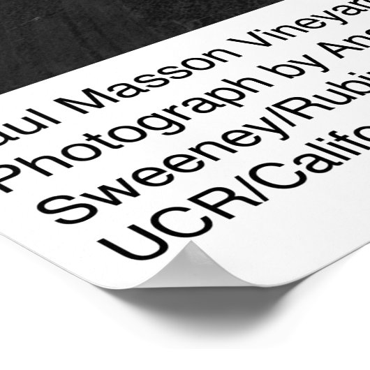 Paul Masson Vineyard van Ansel Adams in Soledad Poster (Hoek)