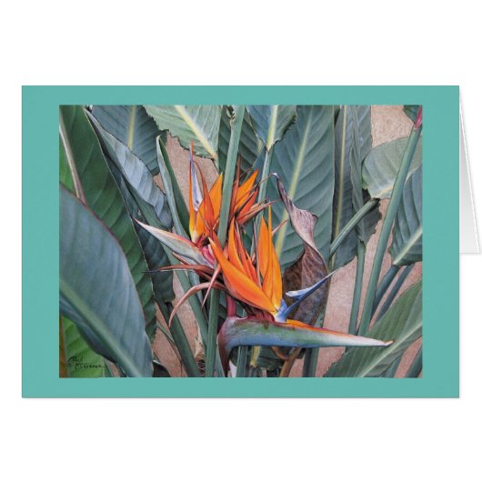 Paul McGehee "Bird of Paradise" Kaart (Voorkant Horizontaal)
