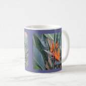 Paul McGehee "Bird of Paradise" Mok (Voorkant rechts)