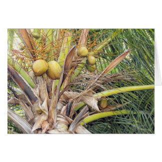 Paul McGehee "Coconuts" Kaart