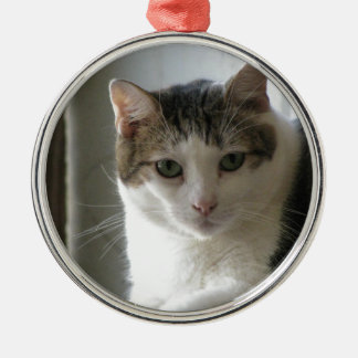 Paul Metalen Ornament