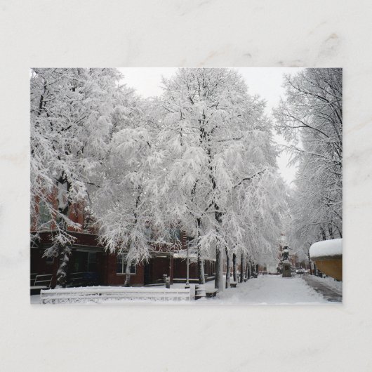 Paul Revere Mall Trees bedekt met wintersneeuw Briefkaart (Voorkant)