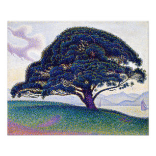 Paul Signac - De Bonaventure-pijnboom Foto Afdruk