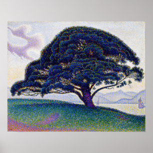 Paul Signac - De Bonaventure-pijnboom Poster