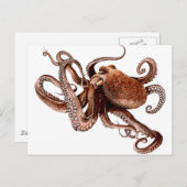 Paul The Octopus Briefkaart (Voorkant / Achterkant)