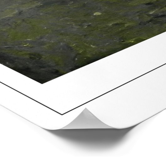 Paula Modersohn-Becker Poster d'art Zedign #104 (Coin)