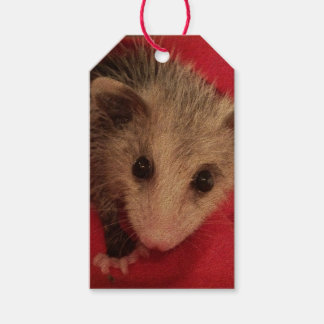 Paulee Possum Cadeau Label Cadeaulabel