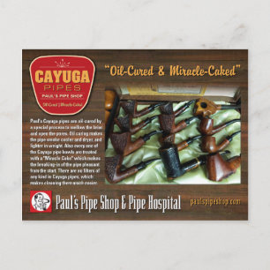 Paul's Cayuga Briefkaart