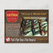 Paul's Cayuga Briefkaart (Voorkant)