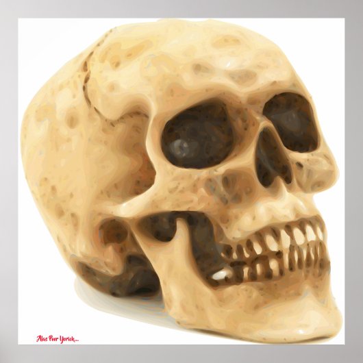 Pauvre Yorick Affiche (Devant)