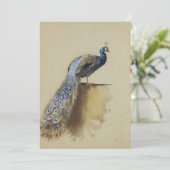 Pauw | Archibald Thorburn (Staand voorkant)