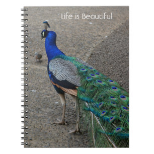 Pauw Bird Kauai (mijn fotografie) Notitieboek