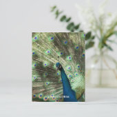 Pauw Briefkaart (Staand voorkant)