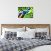 Pauw Canvas Afdruk (Insitu (Slaapkamer))