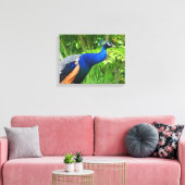 Pauw Canvas Afdruk (Insitu (Woonkamer))