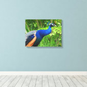 Pauw Canvas Afdruk (Insitu (Houten vloer))
