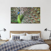 Pauw Canvas Afdruk (Insitu (Slaapkamer))