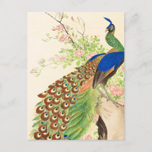  Pauw en bloemenschilderij Briefkaart