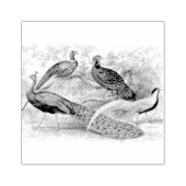 Pauw Fazant Gemengd Scrapbooking    Rubberstempel (Afrduk)