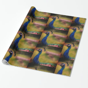 Pauw Foto Mat Inpakpapier