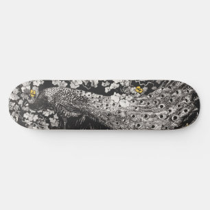 Pauw Illustratie door Theo van Hoytema Skateboard