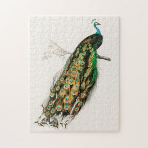 Pauw Illustratie Vintage Kunstprint Legpuzzel
