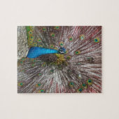 Pauw legpuzzel (Horizontaal)