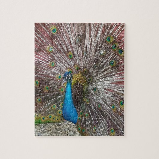 Pauw legpuzzel (Verticaal)