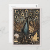 Pauw met kippen (1878-1910) Theo van Hoytem Briefkaart (Voorkant / Achterkant)
