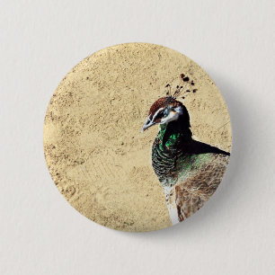 Pauw Ronde Button 5,7 Cm
