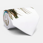 pauw stropdas (Opgerold)