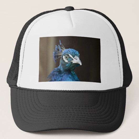 pauw trucker pet (Voorkant)